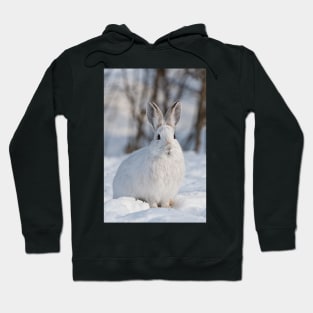 Snow Shoe Hare Hoodie